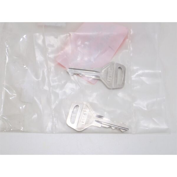 Thule Ersatzschlüssel-Set Ersatzteil-Nr. 1500602260 - für Door Locks