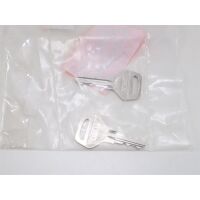 Thule Ersatzschlüssel-Set Ersatzteil-Nr. 1500602260 - für Door Locks