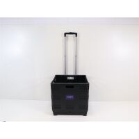 Carbest Transportwagen mit Faltbox, Tragkraft 35kg...