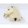 LeMieux Hobby Horse Steckenpferd Popcorn ohne Stiel