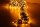 Cluster Lichterkette 800 cm Weihnachtsbaumbeleuchtung mit 1152 LED-Leuchten - Warmweiß